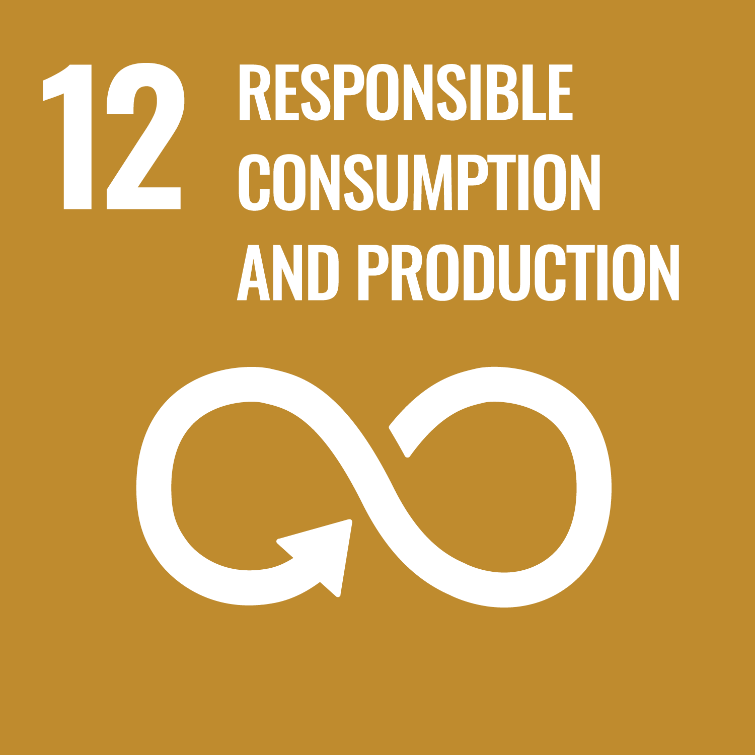 Goals 12 of the United Nation's Sustainable Development Goals