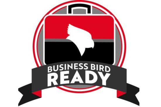 Business Birds Ready